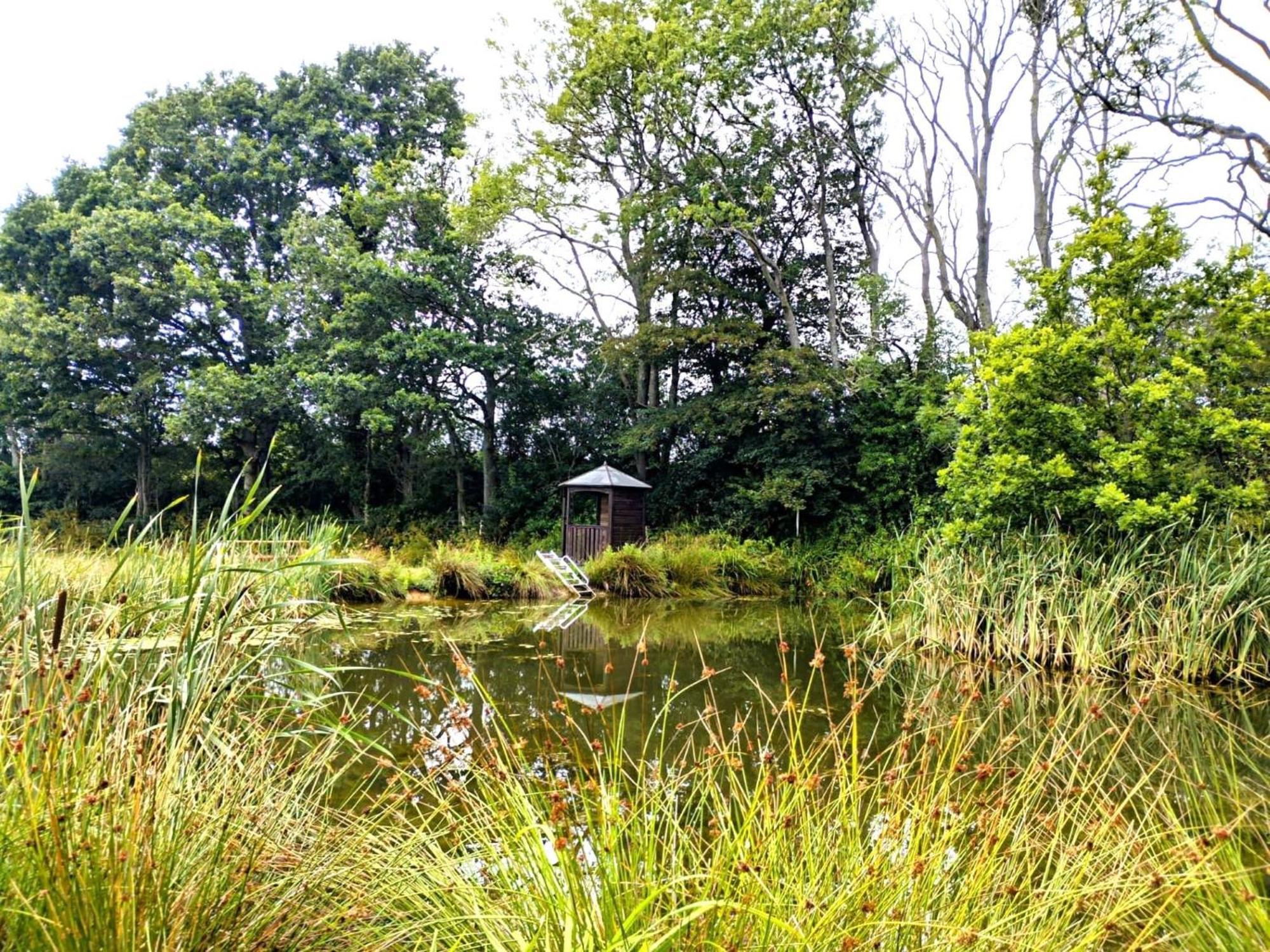 Snug & Secluded Lakeside Shepherds Hut 'Carp' Uckfield Exteriör bild