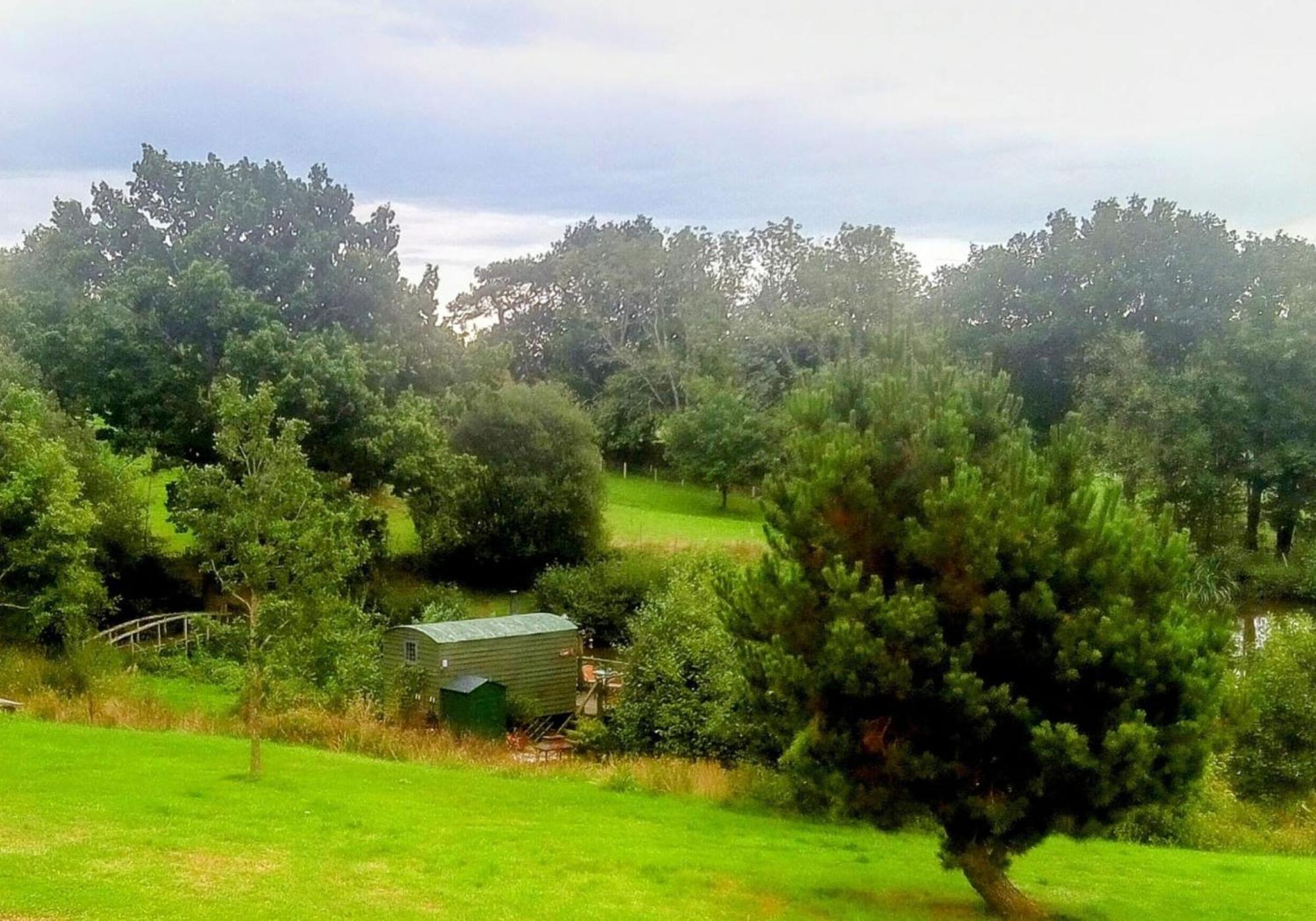 Snug & Secluded Lakeside Shepherds Hut 'Carp' Uckfield Exteriör bild