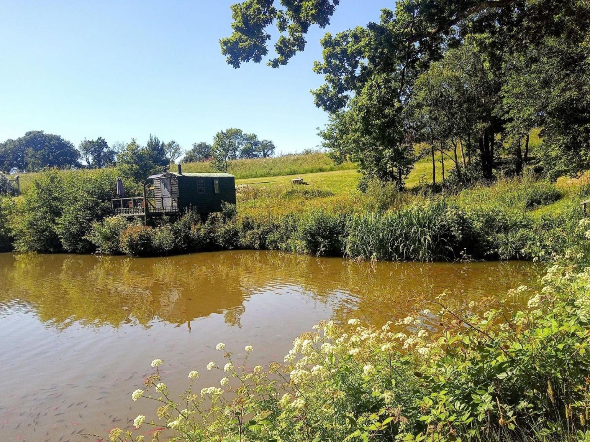 Snug & Secluded Lakeside Shepherds Hut 'Carp' Uckfield Exteriör bild